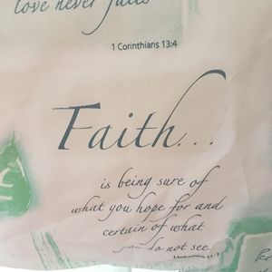 Shower Curtain/plus liner/12 Hooks